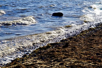 Sonnige Küstenlandschaft der Ostsee in der Lübecker Bucht