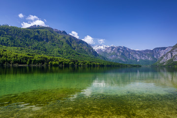 Naklejka na ściany i meble Lake Bohinj in Slovenia, beauty in nature. Colorful summer on the Bohinj lake in Triglav national park Slovenia, Alps, Europe. Mountain Lake bohinj in Julian Alps, Slovenia