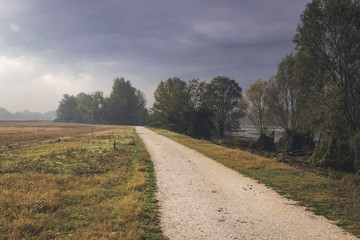 Fototapeta na wymiar country road on an autumn morning