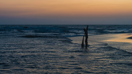 Fishingman catch fish with fishing net silhouette in ocean in Negombo, Sri Lanka