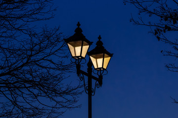Vintage Victorian Street Lamps on a Dark Blue Sky Amidst Branches