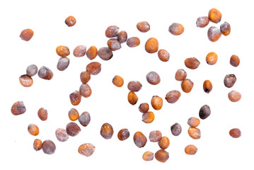 Radish seeds isolated on a white background.