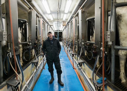 Dairy farm portrait near machinery in milking area