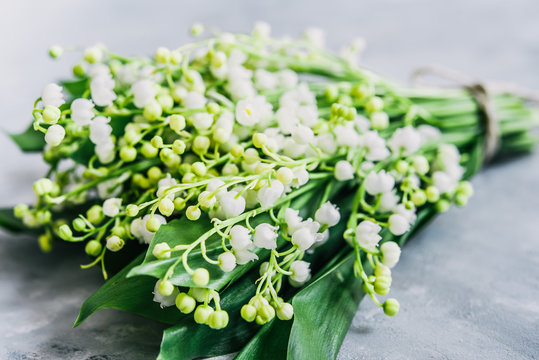Bouquet of Lilies of the valley