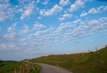 Landscape of green fenced meadows, road and blue sky with clouds a spring afternoon in Cantabria, Spain, Europe