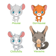 Set of mice and chinchilla species illustrations