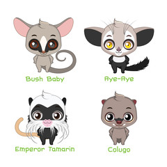 Set of small tree dwelling animal species