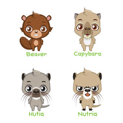 Set of big rodent species