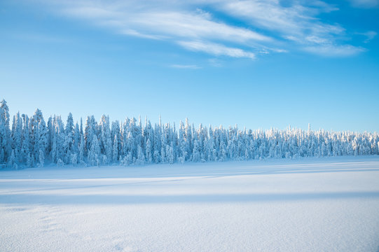 Snowy landscape in Lapland