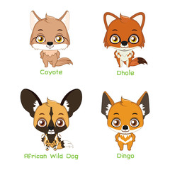 Fototapeta premium Set of wild canine species