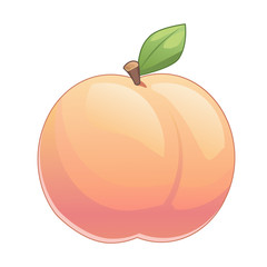 Cute peach with leave vector illustration isolated on white