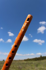 flute indiene