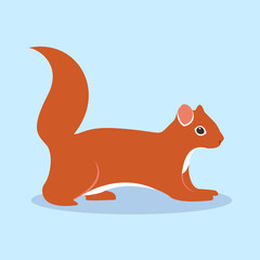 Squirrel Character Vector Flat Design