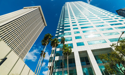 Sun shining over Tampa's skyscrapers