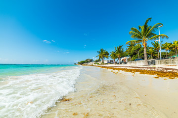 Small wave in Raisins Clairs beach in Guadeloupe
