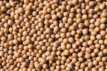 Top view of soybean seeds