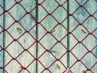 old rusty metal mesh, vertical wooden planks beneath it