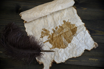 map of iceland on vintage paper with old pen on the wooden texture desk