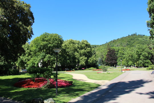 kurhausstraße 14 bad harzburg