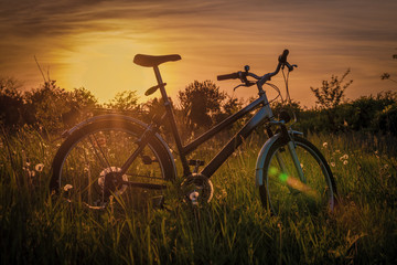 Fototapeta na wymiar Bicycle in the grass against the evening sky in the light of the setting sun