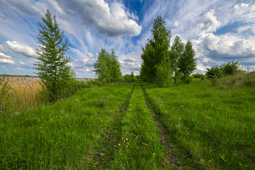 Rural summer landscape. Blue sky with clouds, forest, road through green meadow.