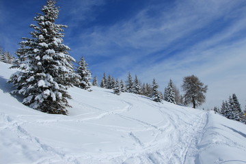 Schneeschuhwandern