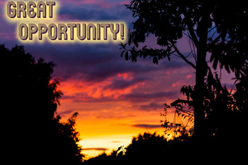 Word writing text Great Opportunity. Business photo showcasing an appropriate or favorable time or occasion to venture Beautiful sunset sunrise through fresh forest nature wood. Sunlight morning