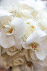 Obraz na płótnie Canvas white orchids and roses
