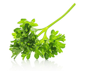 parsley on isolated white background closeup