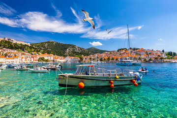 Hvar town with seagull's flying over city, famous luxury travel destination in Croatia. Boats on...