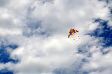 Flying colored kite in the blue sky
