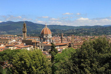 Fototapeta na wymiar Firenze vista da Villa Bardini