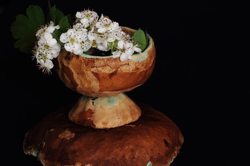Delicate elderberry flowers in ceramic cup on inverted saucer against black background. Tea pair as...