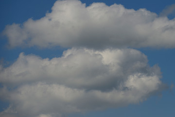 Cottony clouds, cumulus clouds, in a blue sky