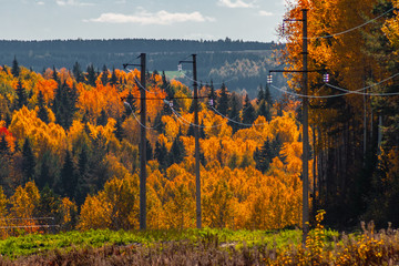 The power line going through the autumn wood, Mari El, Russia