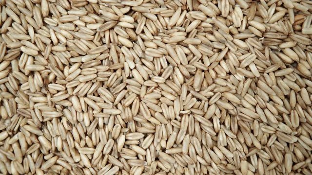 Oat seeds as natural food background. Top view. Healthy diet organic nutrition