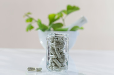 Ginkgo biloba omega