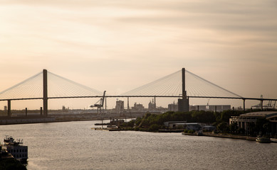 Fototapeta na wymiar The Sydney Lanier Bridge across the Savannah River