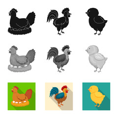 Vector design of breeding and kitchen  symbol. Set of breeding and organic  stock vector illustration.