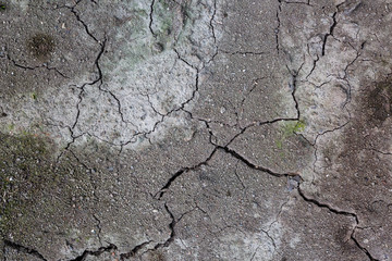 Cracked dry soil