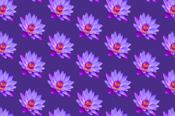 Purple lily pattern background