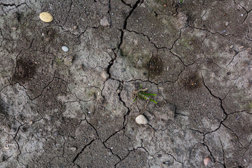 Cracked dry soil