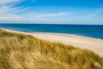 Fototapeta na wymiar Beach landscape of island Sylt, Germany