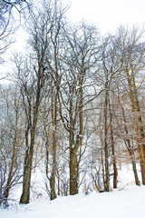 Paesaggio di montagna