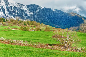 Paesaggio di montagna.