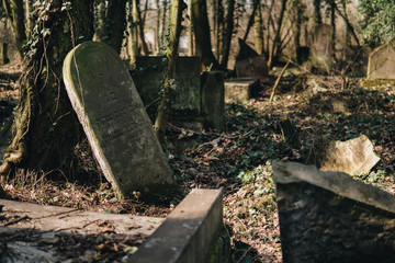 old jewish cemetery