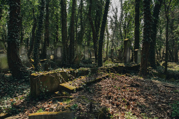 old jewish cemetery