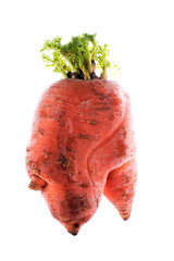 carrot ugly on an isolated white background