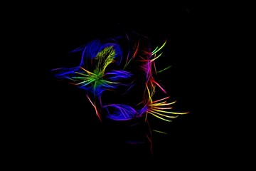 abstract flowers in front of black background