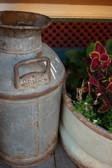 Obraz premium Jug and flower